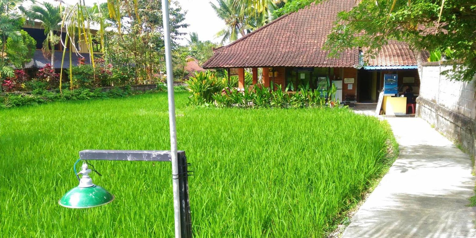 Keladi House Ubud 外观 照片